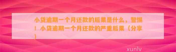 小贷逾期一个月还款的后果是什么，警惕！小贷逾期一个月还款的严重后果（分享）